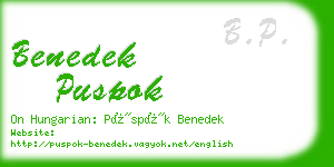 benedek puspok business card